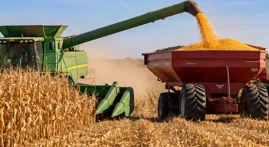16-Year Nebraska Study Finds More Phosphorus Does Not Always Increase Corn Pr...